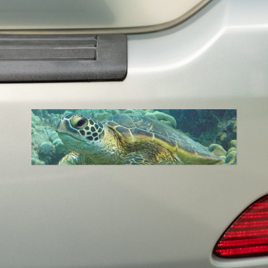 Schildkröten in Hawaii Autoaufkleber (Auf Auto)