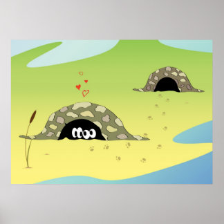 Schildkröten in Liebe Poster