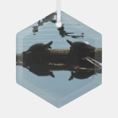 Schildkröten-Interaktions-Schmuck Ornament Aus Glas (Vorderseite)