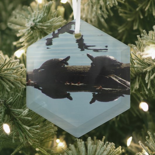 Schildkröten-Interaktions-Schmuck Ornament Aus Glas (Insitu)