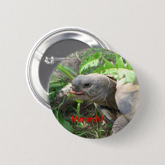 Schildkröten-Knopf Button (Vorne & Hinten)