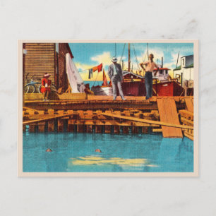 Schildkröten Kraals vintage Key West Florida Postkarte