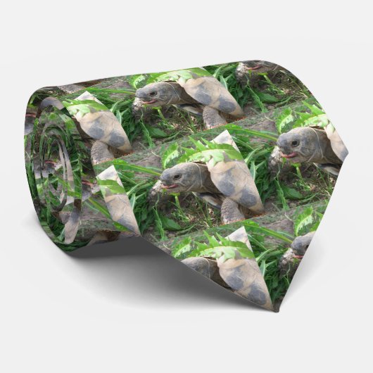 Schildkröten-Krawatte Krawatte (Gerollt)