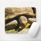 Schildkröten-Mausunterlage Mousepad (Mit Mouse)