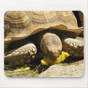 Schildkröten-Mausunterlage Mousepad