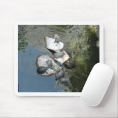 Schildkröten Mousepad (Mit Mouse)