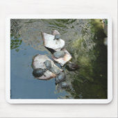 Schildkröten Mousepad (Vorne)