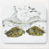 Schildkröten Mousepad (Vorne)