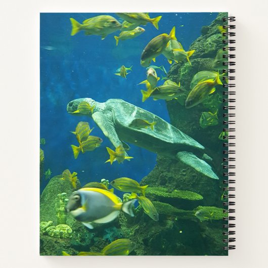 Schildkröten Notizblock (Rückseite)