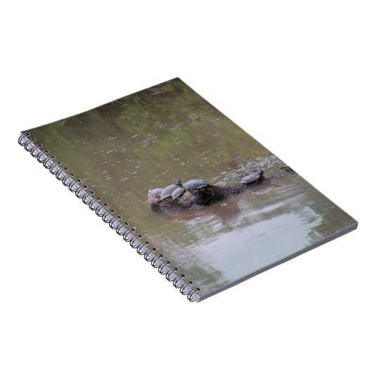 Schildkröten Notizblock (Rechte Seite)