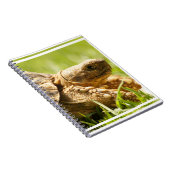 Schildkröten-Notizbuch Notizblock (Rechte Seite)