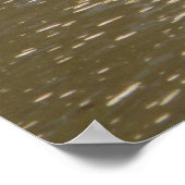 Schildkröten Poster (Ecke)