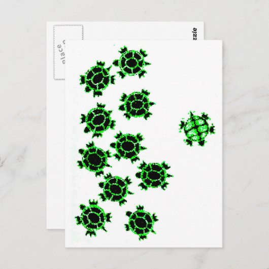 Schildkröten Postkarte (Vorne/Hinten)