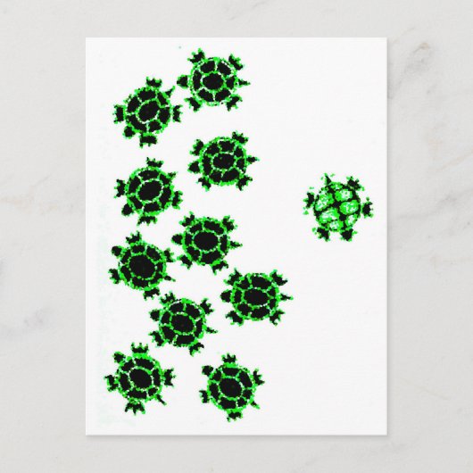Schildkröten Postkarte (Vorderseite)