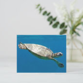 Schildkröten Postkarte (Stehend Vorderseite)