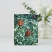 Schildkröten Postkarte (Stehend Vorderseite)