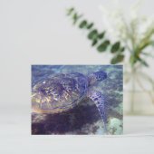 Schildkröten Postkarte (Stehend Vorderseite)