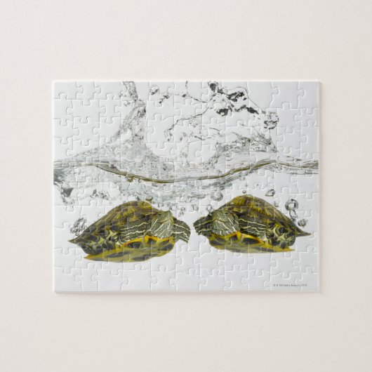 Schildkröten Puzzle (Horizontal)