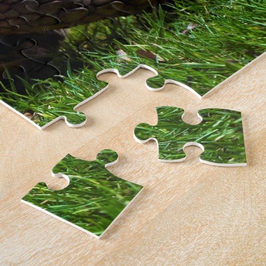 Schildkröten-Puzzle Puzzle (Seite)