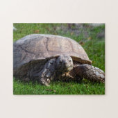 Schildkröten-Puzzle Puzzle (Horizontal)