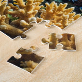 Schildkröten-Puzzle Puzzle (Seite)