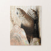 Schildkröten-Puzzlespiel Puzzle (Vertikal)