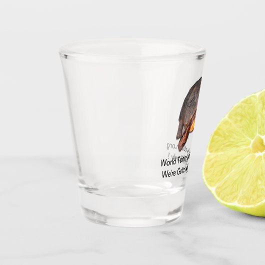 Schildkröten-Schnapsglas Schnapsglas (Links)