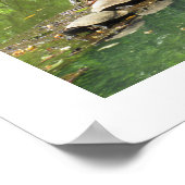 Schildkröten Sonnenschein-Poster Poster (Ecke)