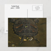 Schildkröten Teich Postkarte (Vorne/Hinten)
