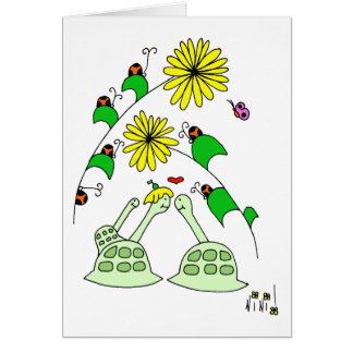 Schildkröten u. Damenwanzen