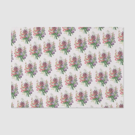 Schildkröten und Beardtongues Seidenpapier (Vorderseite)