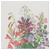 Schildkröten und Beardtongues Stoff (Nahaufnahme)