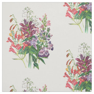 Schildkröten und Beardtongues Stoff