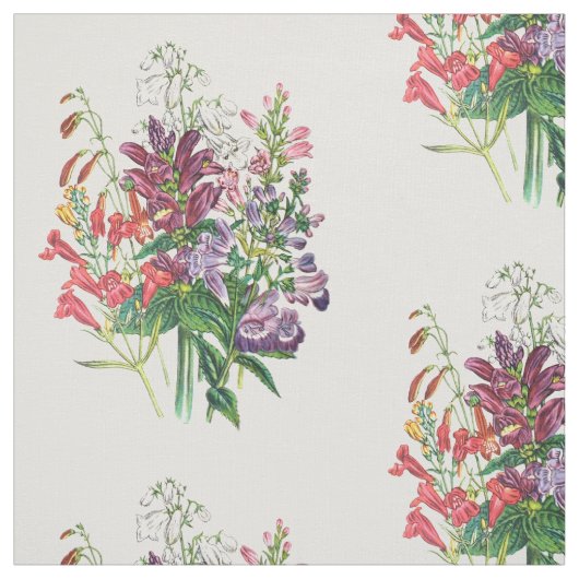 Schildkröten und Beardtongues Stoff (Muster)