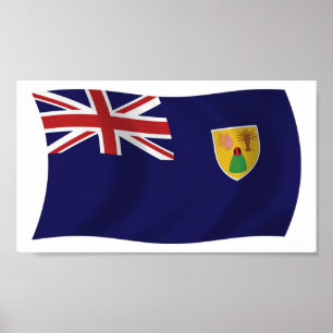 Schildkröten und Caicos-Inseln Flaggenplakat druck Poster