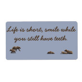 Schildkröten und ein Sprichwort (Vorne)