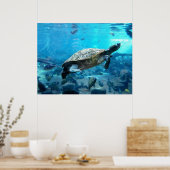 Schildkröten und Fische Poster (Küche)