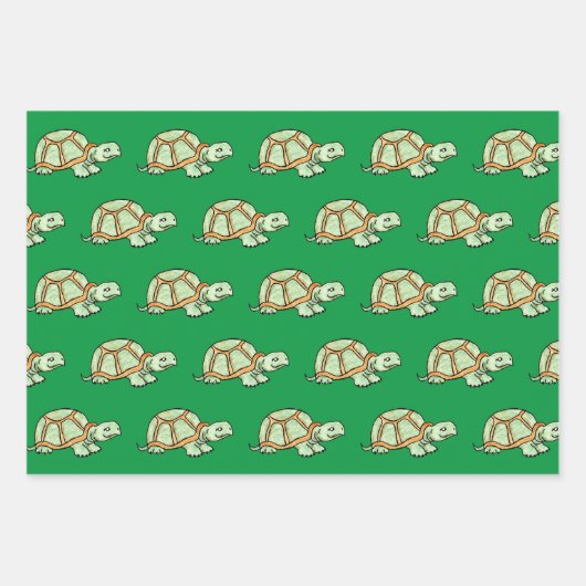 Schildkröten und Frosch Geschenkpapier Set (Vorderseite 3)