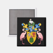 Schildkröten und Kaikosinseln Magnet (Vorderseite/Rückseite)