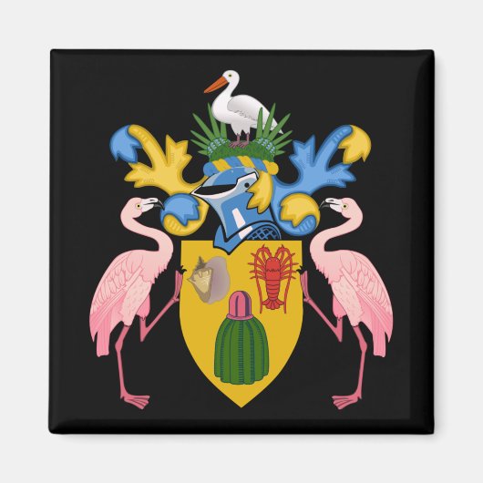 Schildkröten und Kaikosinseln Magnet (Vorne)