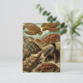 Schildkröten und Schildkröten Postkarte (Stehend Vorderseite)