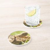 Schildkröten-Untersetzer Sandstein Untersetzer (Seite)