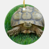 Schildkröten-Verzierungen Keramikornament (Hinten)