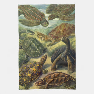 Schildkröten Vintage Landschildkröte von Ernst Hae Geschirrtuch