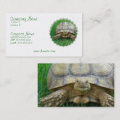 Schildkröten-Visitenkarte Visitenkarte (Vorne/Hinten)