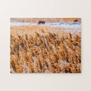 Schildkröten von Antelope Island, Utah - 11x14 - 2 Puzzle