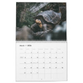 Schildkröten-Wandkalender Kalender (Mär 2026)