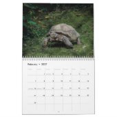 Schildkröten-Wandkalender Kalender (Feb 2027)