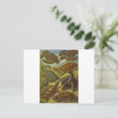 Schildkröten Wissenschaftliche Druckerei Postkarte (Stehend Vorderseite)