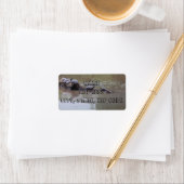 Schildkrötenadressen Adressaufkleber (Insitu)